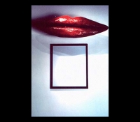 ah_installationslideshow_lips1