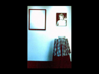 ah_installationslideshow_luna1
